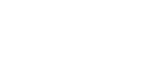 The Flight of the Phoenix