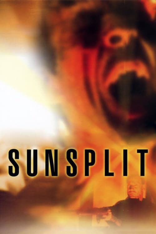 Poster Sunsplit 1997