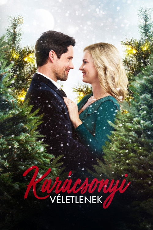 A Godwink Christmas: Meant For Love poster