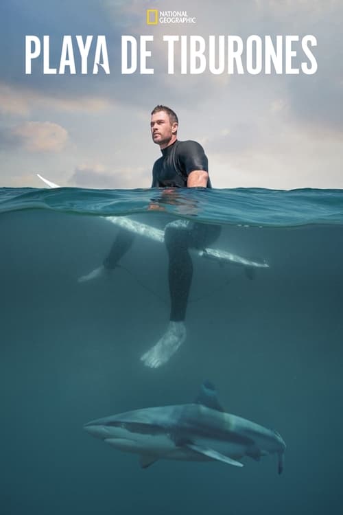 Shark Beach With Chris Hemsworth poster