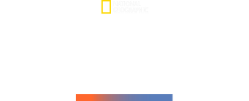 Mega Hammerhead