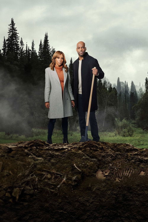 Pòster de Morning Show Mysteries Collection