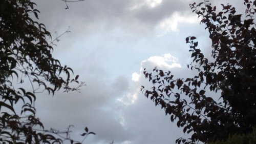 today, it’s raining Backdrop Blur