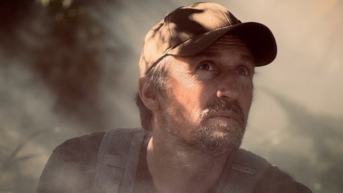 Whispers in the Woods