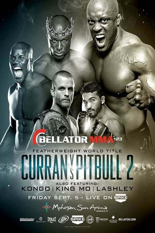 Poster Bellator 123 2014