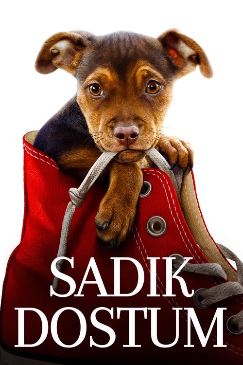 Sadık Dostum ( A Dog's Way Home )