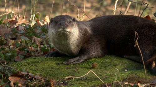 Image de l'épisode 6