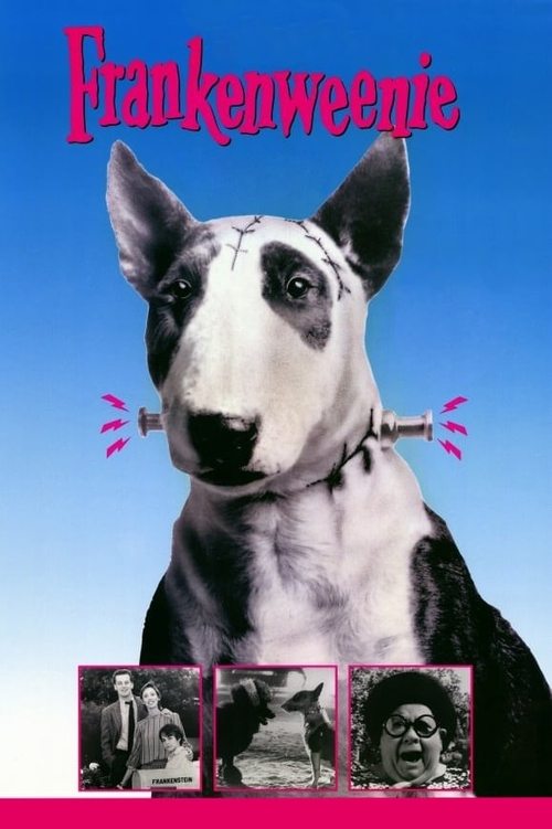 Frankenweenie (1984) poster