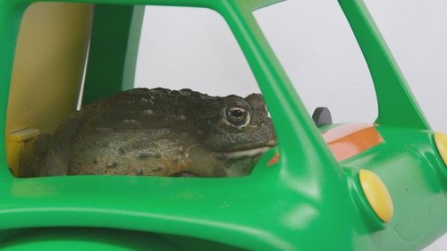 Image de l'épisode 17