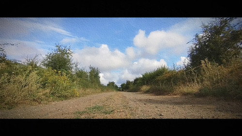 Wandering: The Art of Noticing