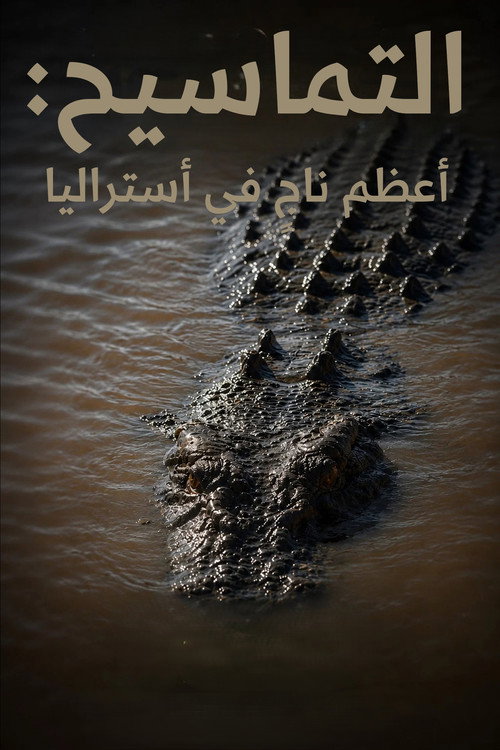 Crocodile: Australia's Greatest Survivor