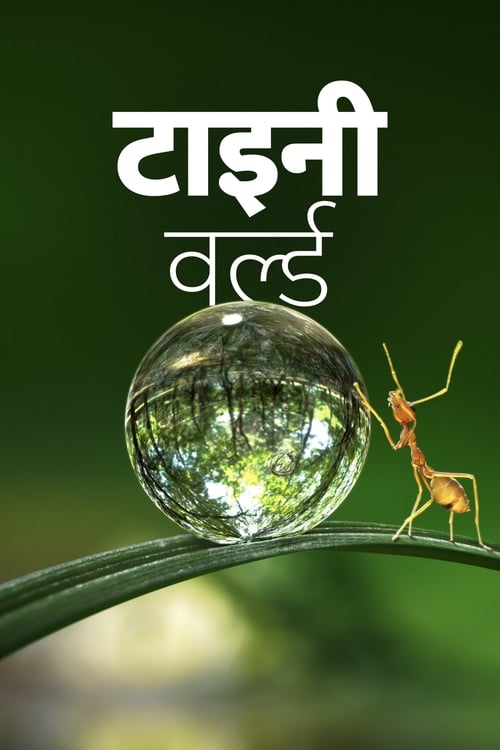 ाइनी वर्ल्ड poster