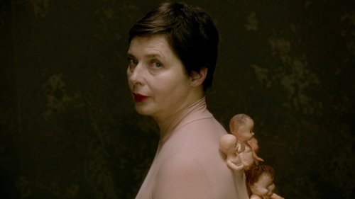 Mammas