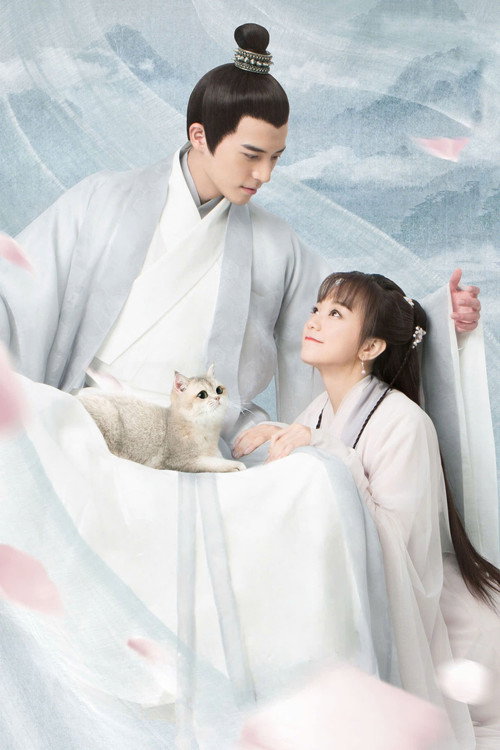 I'm a Pet At Dali Temple poster