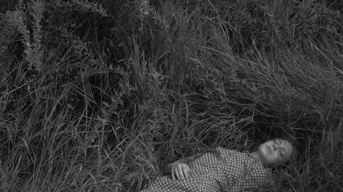 Dedicated To The Youth Of The World