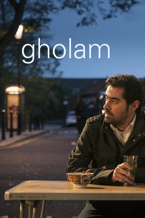 Gholam 2017