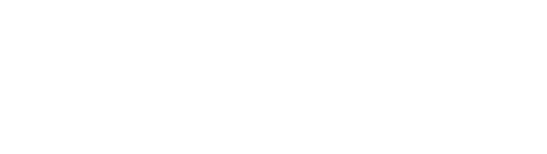 F for Fake