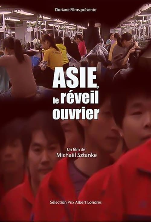 Asie le Réveil Ouvrier (2013) poster