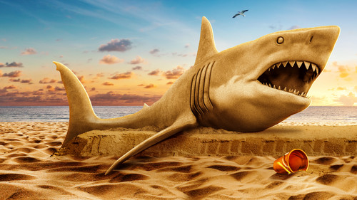 Escena 1 de Shark Week