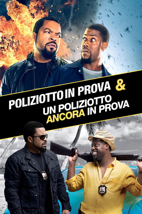 Poliziotto in prova - Collezione