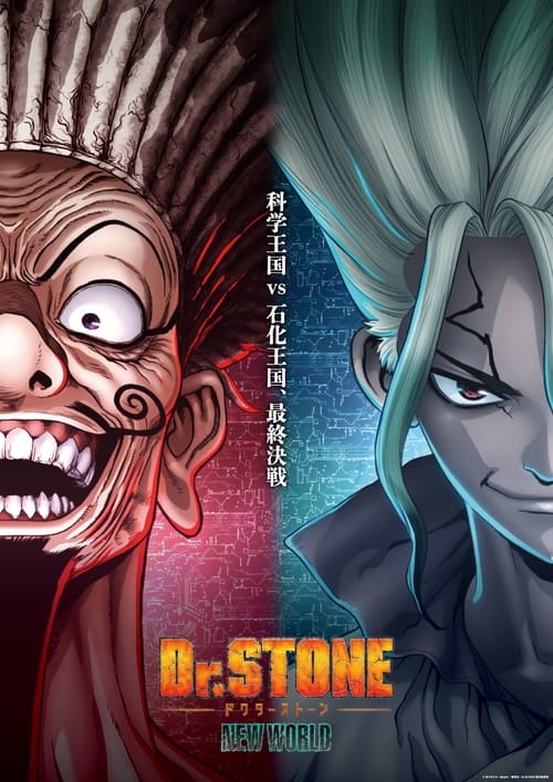 Image Dr. Stone