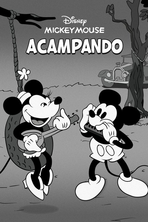 Pôster de Acampando