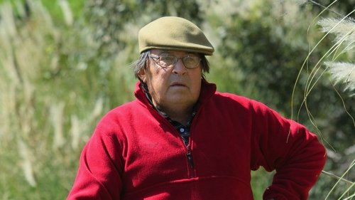 Segura a Onda: 7×7