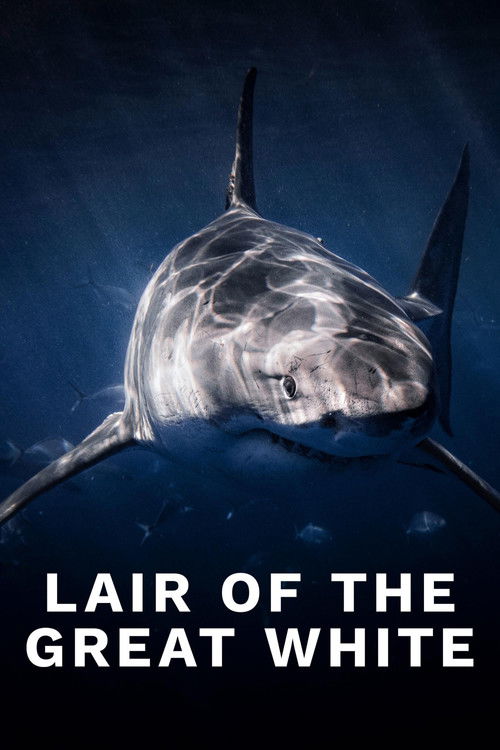 Lair of the Great White