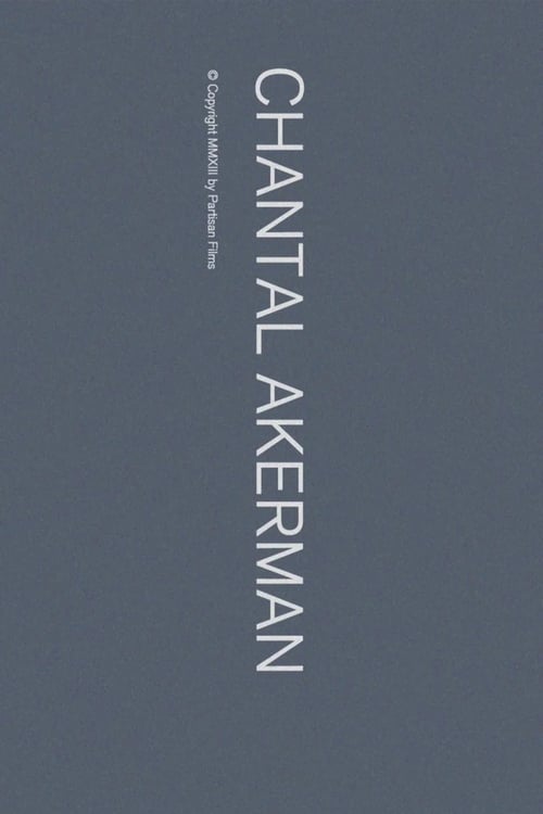 Chantal Akerman 2013
