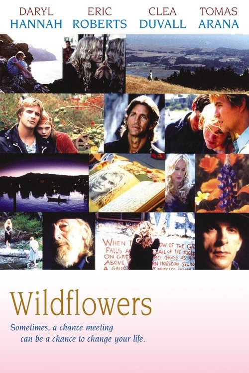 Poster 2