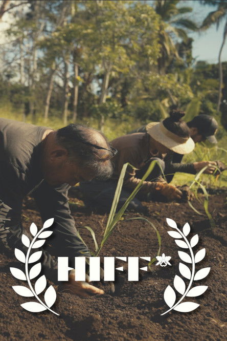 Seeing With Hawaiian Eyes poster