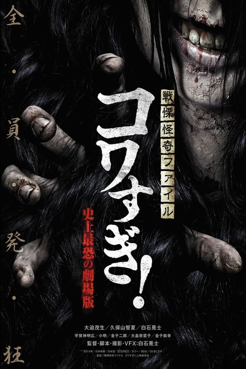 戦慄怪奇ファイル コワすぎ！史上最恐の劇場版 (2014) poster
