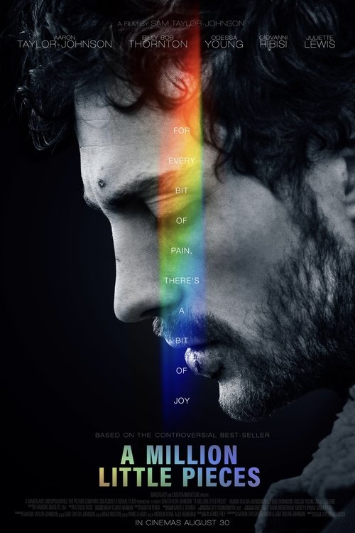 A Million Little Pieces poster