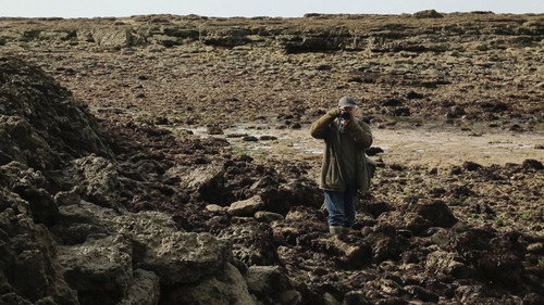 Oléron : La vie continue still