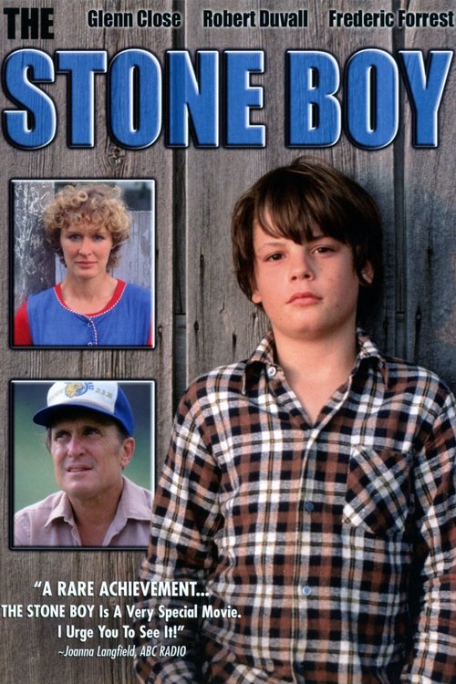The Stone Boy movie poster player