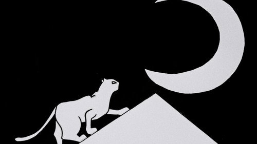 Image du film