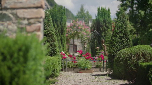 A French-style garden