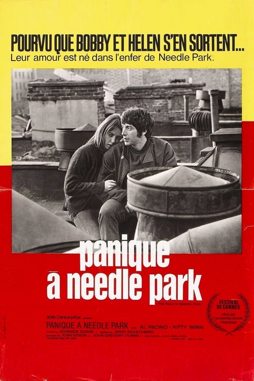 Panique à Needle Park 1971