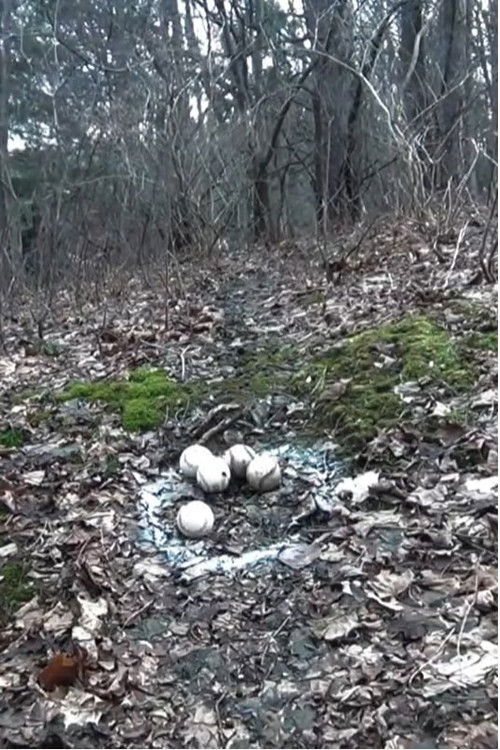 Five Baseballs Five Times