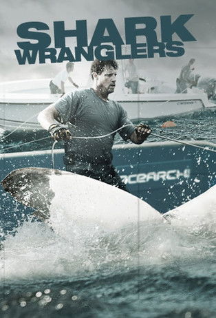 Escena 4 de Shark Wranglers