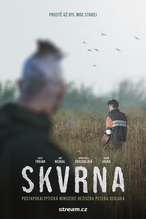 Poster Skvrna