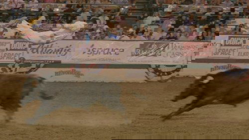 Bull Jumping image 4