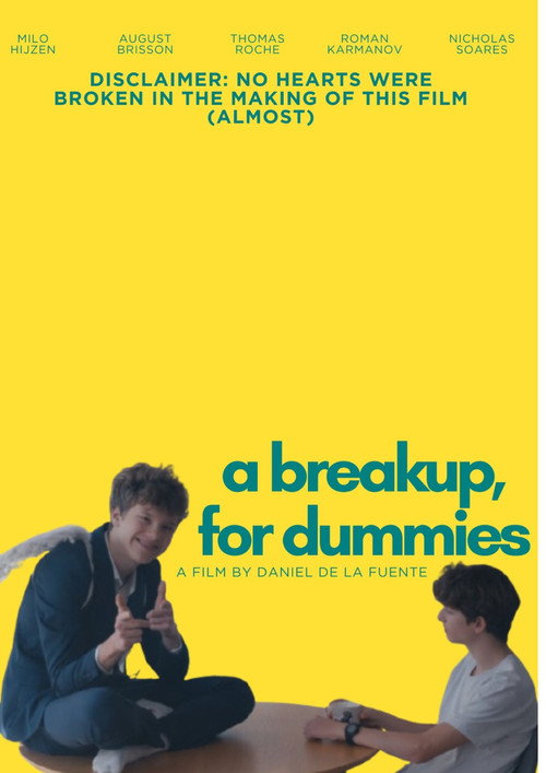 A Breakup, for Dummies.