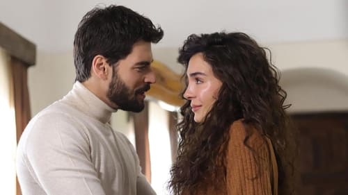 Poster della serie Hercai