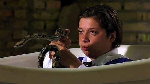 Image de l'épisode 11