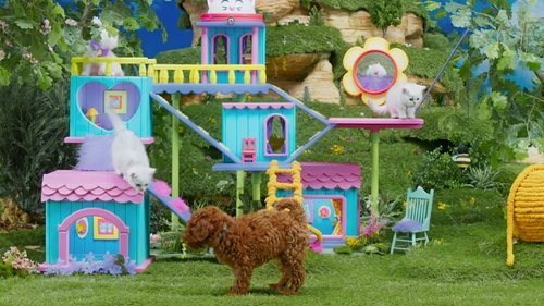 Image de l'épisode 22