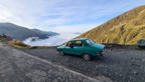 Du sang sur la forêt