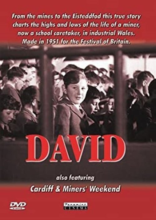 David movie poster player