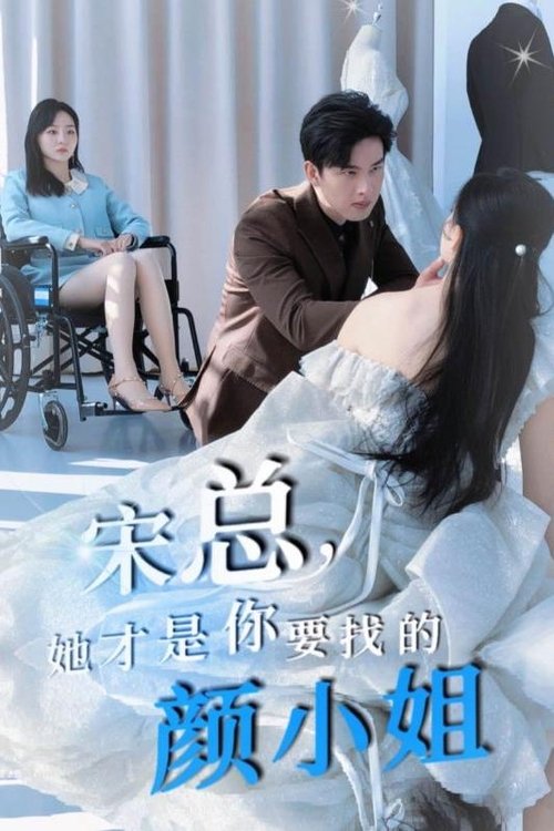 宋总，她才是你要找的颜小姐