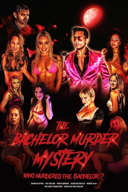 The Bachelor Murder Mystery: Who Murdered the Bachelor? poster